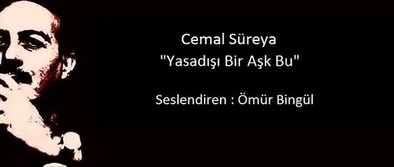 Cemal Süreya - Yasa dışı Bir Aşk
