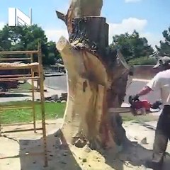 kütükten sanat eseri çıkaran adam