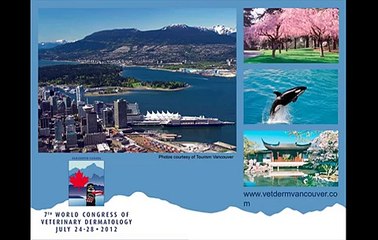 History Taking and Diagnostic Tests in Veterinary Dermatology - part 2