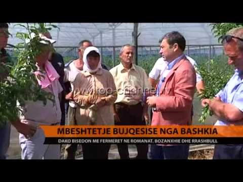 Mbështetje bujqësisë nga bashkia - Top Channel Albania - News - Lajme