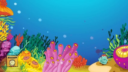 En Güzel 10 Hayvanlı Çocuk Şarkısı - AfacanTV