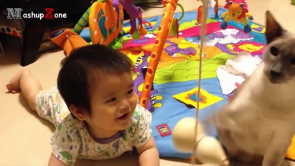 Funny Cats And Dogs Playing With Babies Compilation 2015 || NEW HD