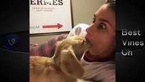 【Vine】面白い！話題になったイヌの6秒動画まとめVol 1～Best Dog Vines～