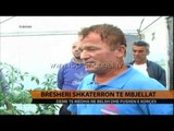 Breshëri shkatërron të mbjellat - Top Channel Albania - News - Lajme