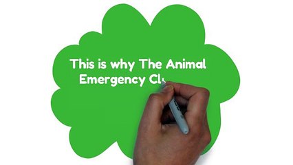 Need an Emergency Animal Hospital? Animal Emergency Clinic of Deerfield Can Help!