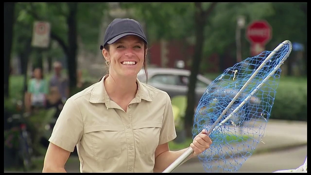 Capturing a Homeless Woman Prank