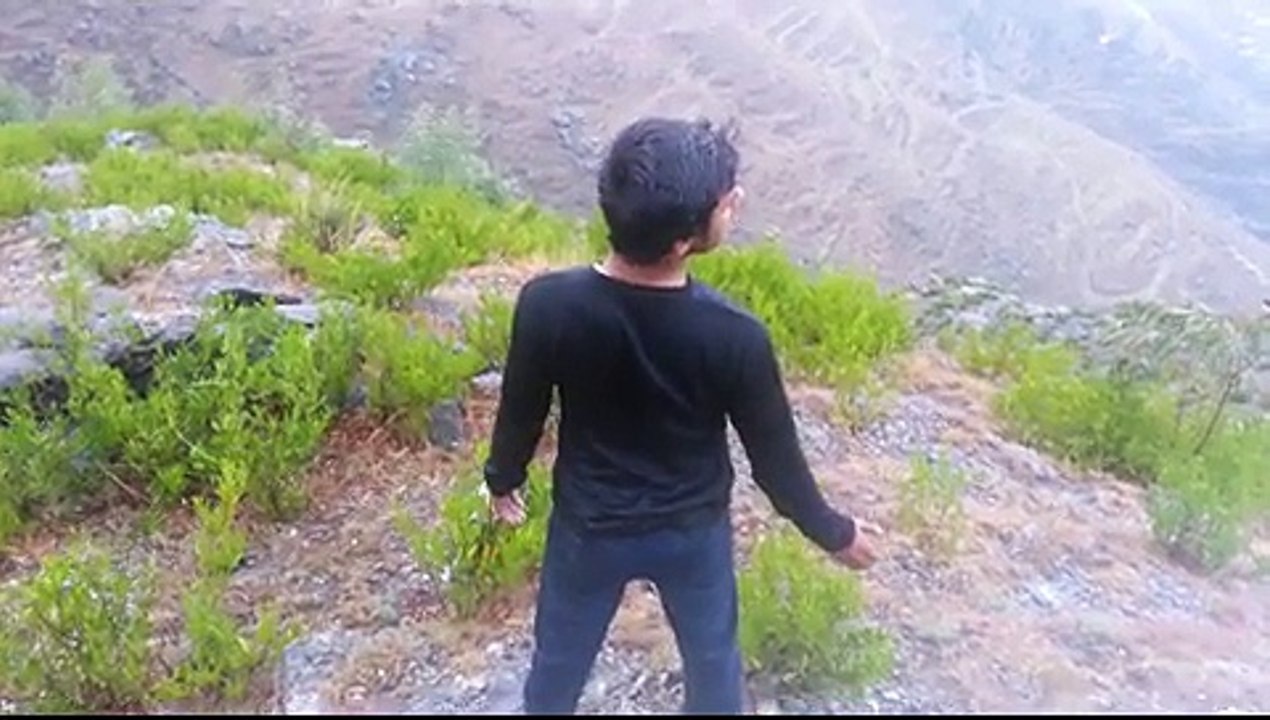 balogram swat