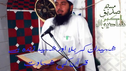 Shahidan e karbala aur Shaheed zinda hai by Mufti Saleem Ahmad Qadri