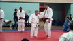 Gran Demostración de Judo