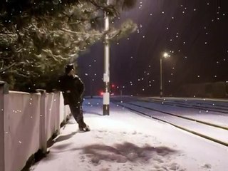 САЛЬВАТОРЕ АДАМО - ПАДАЕТ СНЕГ