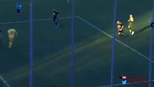 Daniel Ciofani Second Goal - Frosinone vs Hellas Verona 2-0 (Serie A 2015)