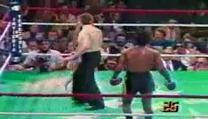 WHEN BOXERS LOSE CONTROL