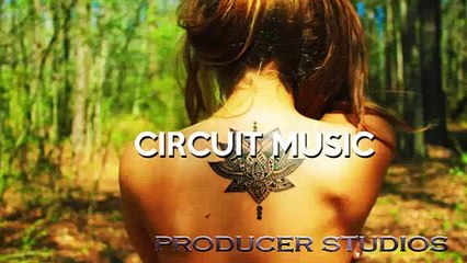 Musica de Antro Lo mas nuevo (Noviembre) - New Best Music Circuit [Parte 1]