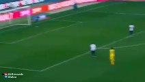 Chievo vs Udinese 2-2 (Roberto Ingelese Fantastic Goal) Seria A 29.11.2015