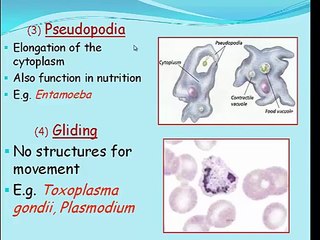 Parasitology