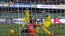 Udinese vs Chievo 3 - 2 all goals 2015