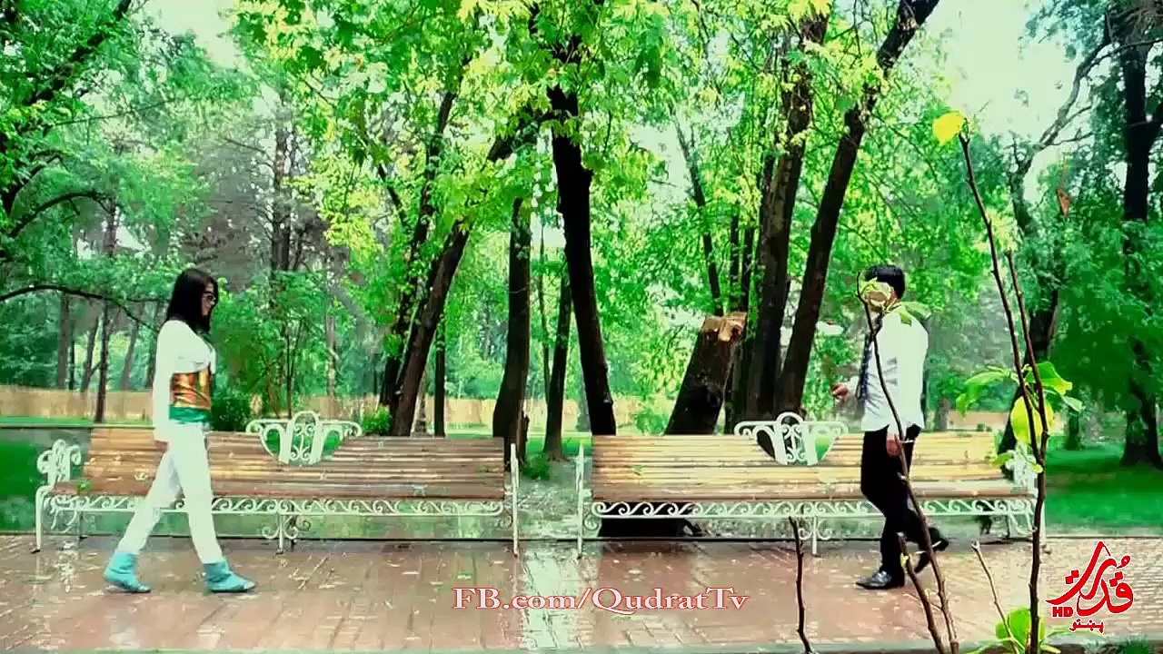 Rohid Elyas - Dana Dana