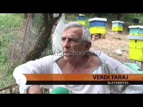 Bletërritësit kërkojnë mbështetje - Top Channel Albania - News - Lajme