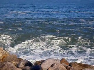Rompeolas del dique de las Ánimas.