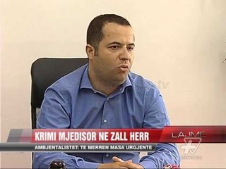“Krimi mjedisor” në Zall Herr - News, Lajme - Vizion Plus