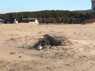 RAPORTI PER NDOTJEN NE PLAZHE PER 2015, PERMIRESOHEN PLAZHET NE KAVAJE E DURRES LAJM