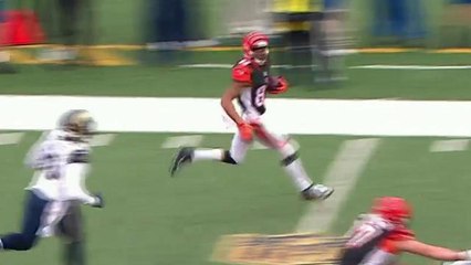 Bengals trick play turns into 29-yard gain