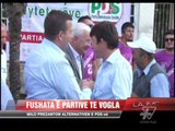 Fushata e partive të vogla - News, Lajme - Vizion Plus