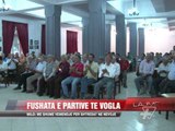 Fushata e partive të vogla - News, Lajme - Vizion Plus