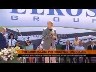 Pikë grumbullimi për prodhimet bujqësore - Top Channel Albania - News - Lajme