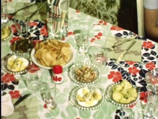 ricounet et sa petite famille été 79