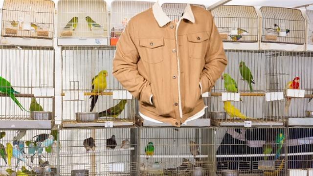 Clothes on their own: Three Must Have Winter Coats