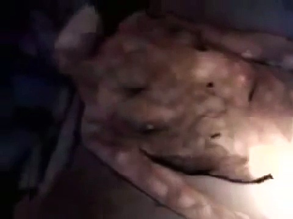 ALIEN MUMIFICADO
