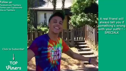 What Are Those Vine Compilation #VineTrends - Top Viners ✔