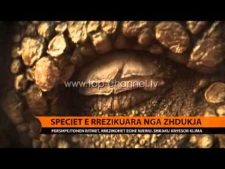 Toka ka hyrë në periudhën e zhdukjes së madhe (e gjashta) - Top Channel Albania - News - Lajme