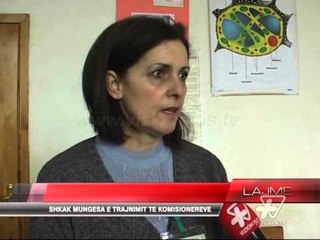Ndërpritet votimi në Maliq - News, Lajme - Vizion Plus
