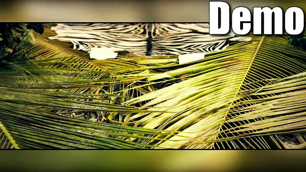 Farruko ft Shaggy & Nicky Jam - Sunset - Transition Salsa To Reggaeton Intro 92 Bpm - Demo