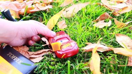 GIANT SURPRISE BIGGEST LEAF PILE Kids Toys Surprise Eggs Baby Alive Disney Princess Candy Fun