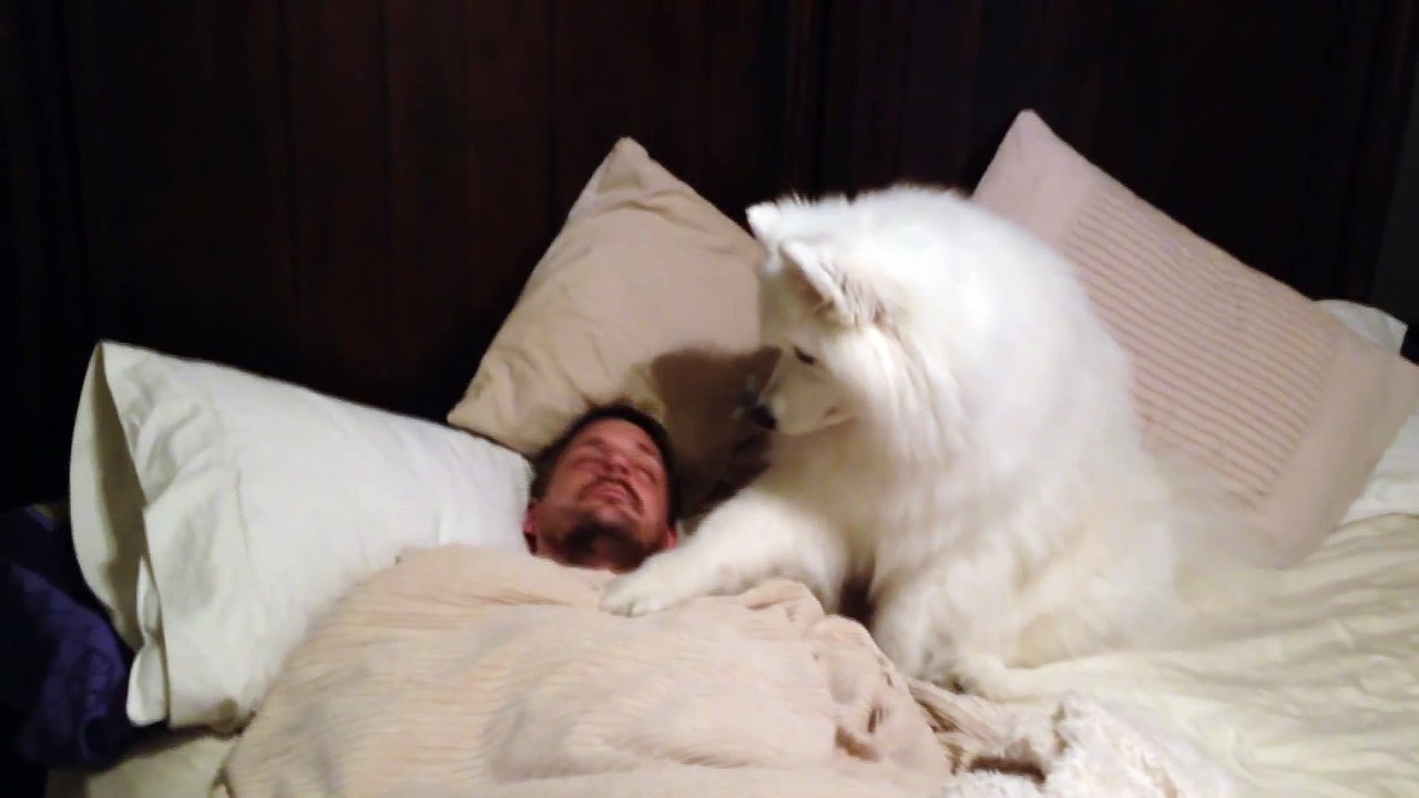 Lexi Wakes Dad UP
