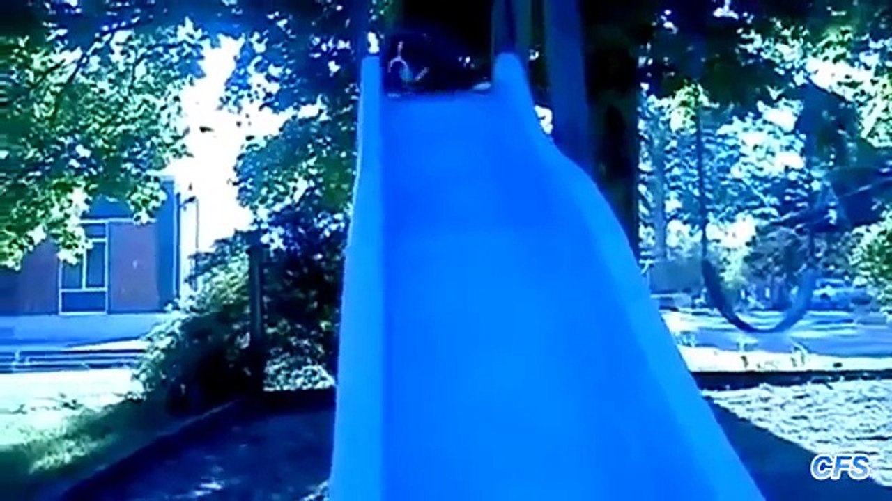 Bulldogs en lugar de niños. Divertidos Bulldogs montar en la montaña rusa