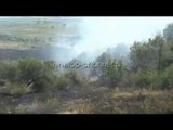 PA KOMENT: Fier, zjarri përfshin ullishtet në fshatin Radostinë - Top Channel Albania - News - Lajme