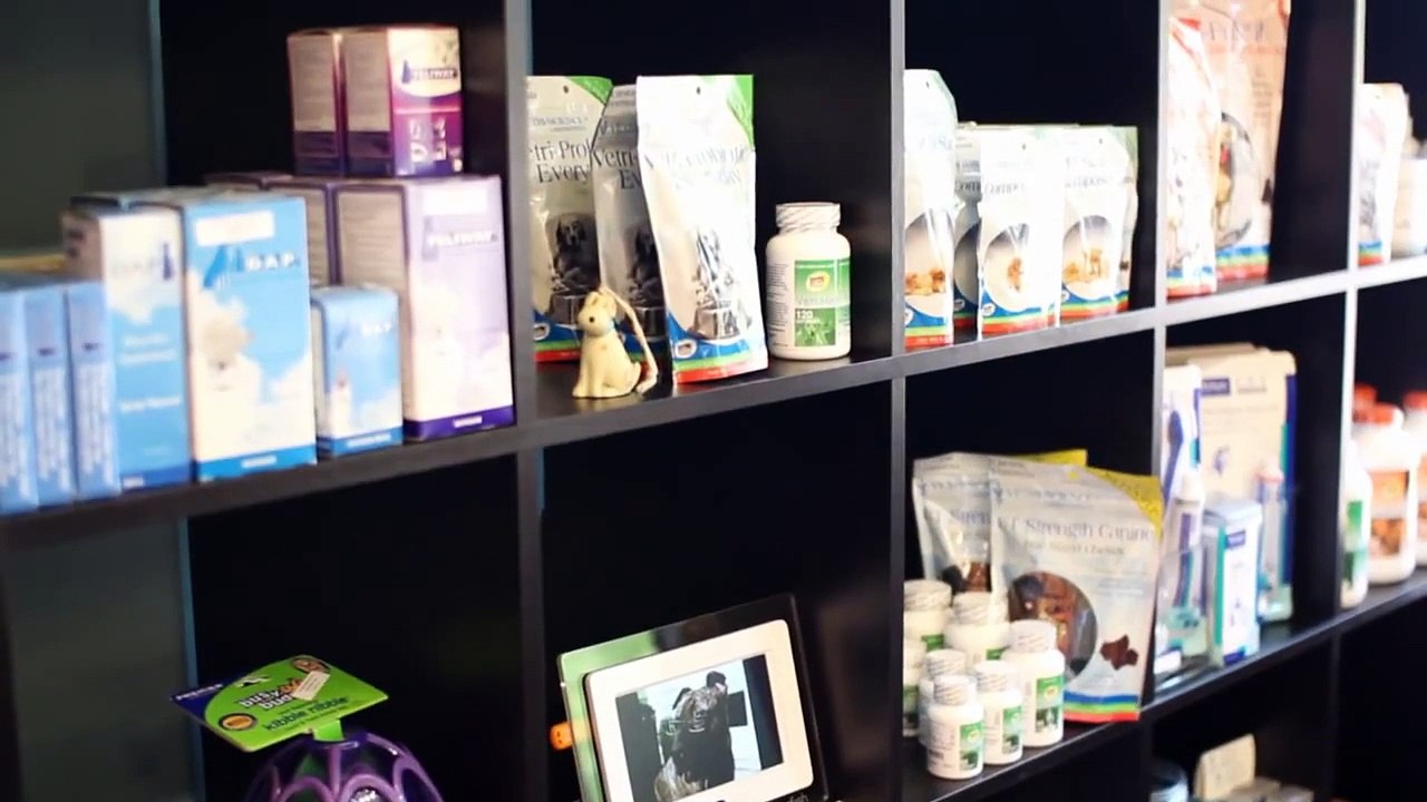 Eastown Vet Clinic: Therapy Laser Treatment