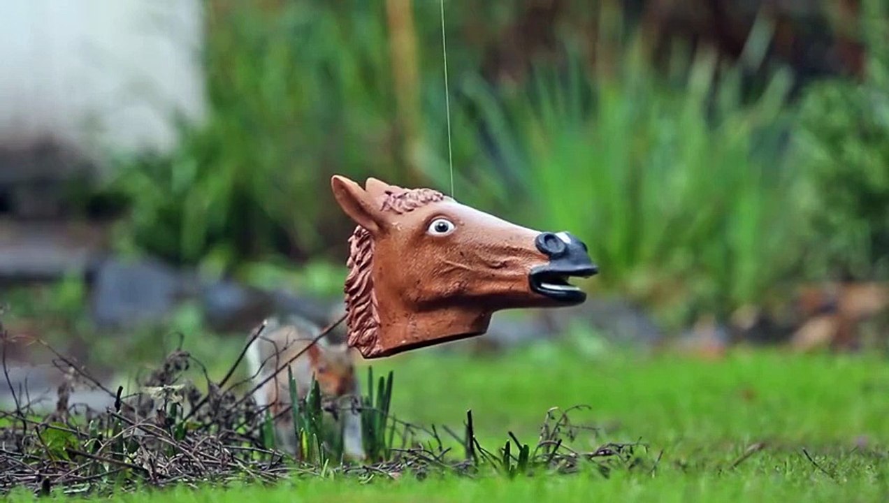Un mangeoire pour rongeur en forme de tête de cheval