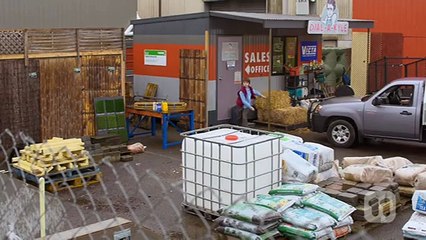 Neighbours S 31 E 234