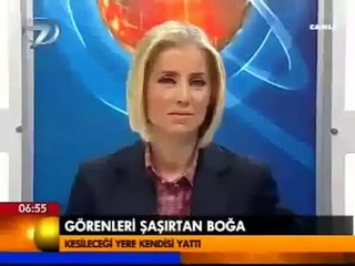 Video Galeri Haber7 haber7 com Güncel Haberler Son dakika haberleri