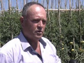 FERMERET NE FIER KERKOJNE NDIHME NGA SHTETI PER TE SHITUR PRODHIMET BUJQESORE LAJM