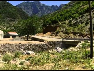 SOKOL MJACAJ NE GJYKATEN E SHKODRES PRET TE MARRE MASEN E SIGURISE BURG PA AFAT LAJM