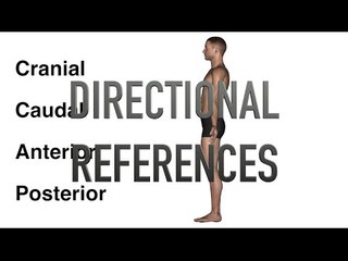 Directional References - Quiz