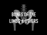 Bones of the Limbs and Others - Quiz