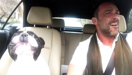 Il chante en duo avec son Bulldog