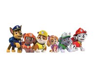 Paw Patrol Espanol Games Birthday Christmas 2015, Paw Patrol Episodes Eggs Cake Names Full_1